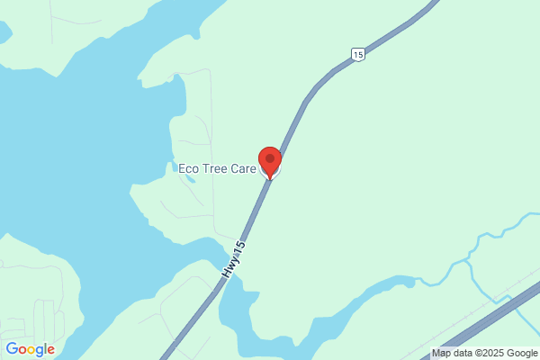 Eco Tree Care