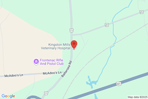 Kingston Mills Veterinary Hospital