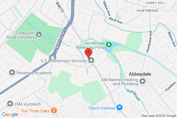 Bassali Miranda Dr Dent