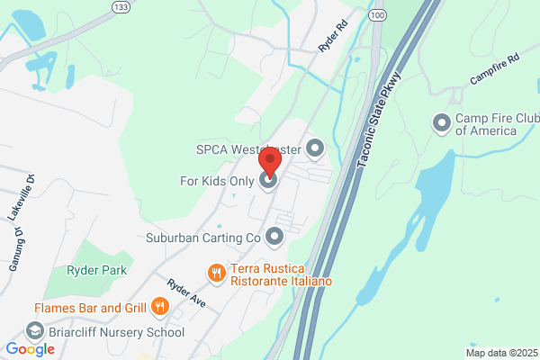 Fred's Auto Repair