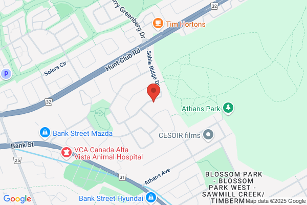 Pest Control Ottawa