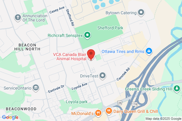 VCA Canada Blair Animal Hospital