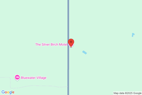 The Silver Birch Motel