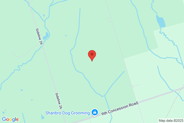 Arm and Hammer Construction, Inc