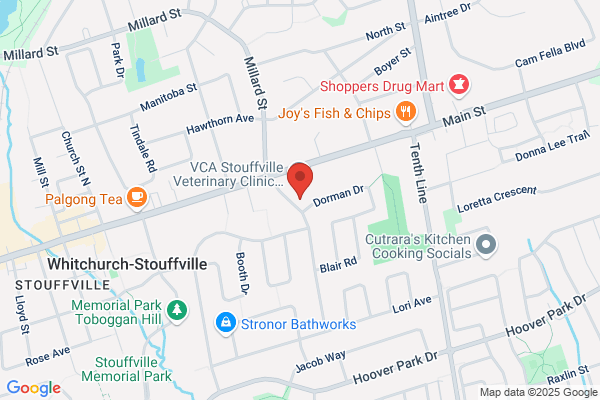 Stouffville Village Child Care