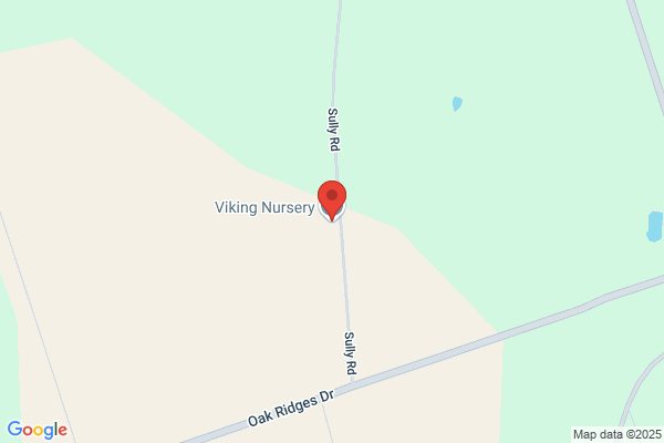 Viking Nursery Ltd