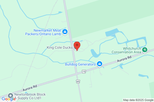 King Cole Ducks Ltd