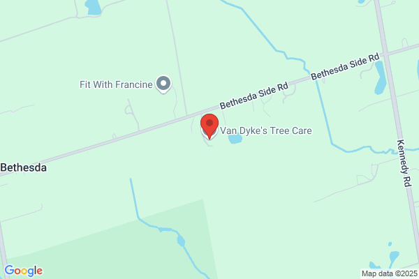 Van Dyke's Tree Care Ltd