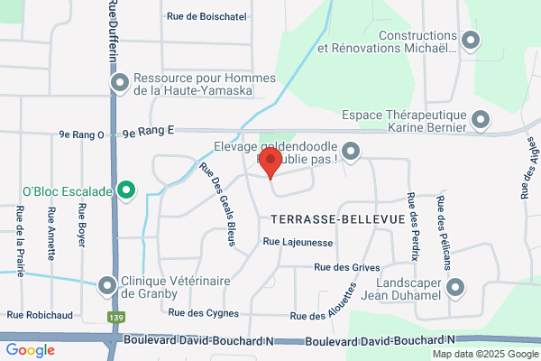Ateliers De Mecanique Industrielle De Granby
