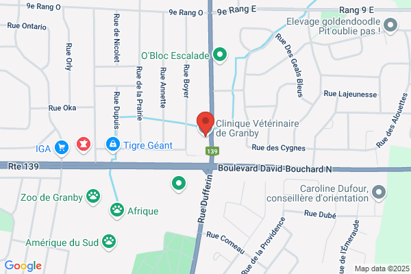 Clinique Vétérinaire De Granby