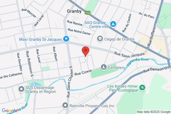 La Clinique du Son