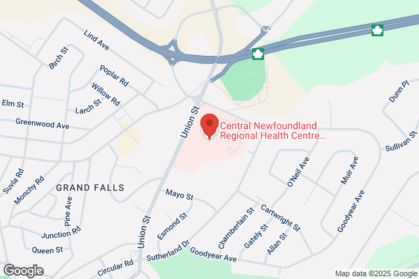 Central Nfld Regional Health Center, Administration, Regional C E O