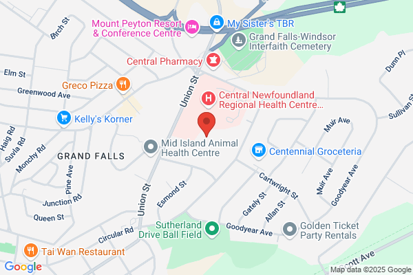 Carmelite House, Social Work, Social Worker