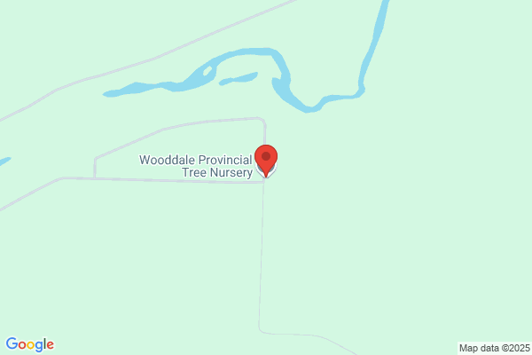 Forestry, Forestry Branch (Eastern Region), Wooddale Provincial Tree Nursery