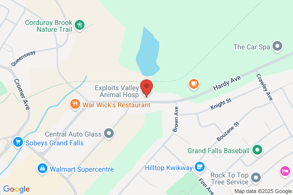 Exploits Valley Animal Hospital