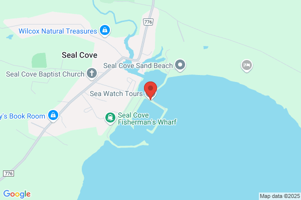 Sea Watch Tours