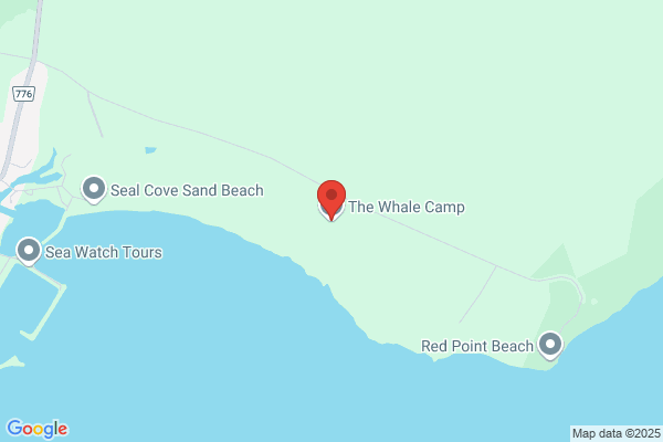 Whale Camp