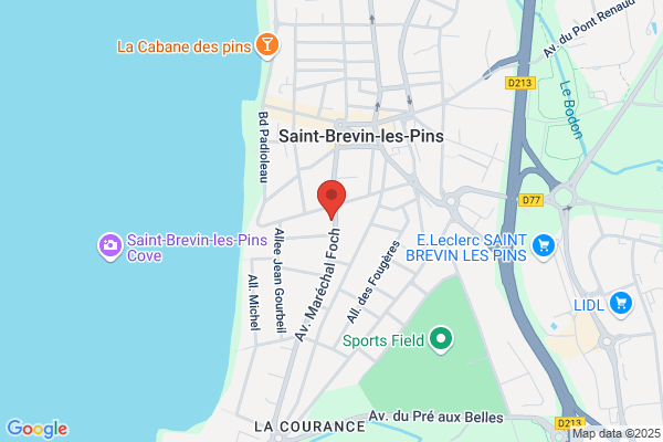 Allaire Georges Aluminium Inc, Allaire Sylvain
