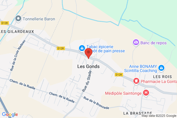 Les Gonflés