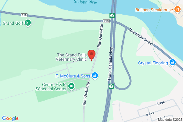 Vet Clinic Grand Falls Cli Vet