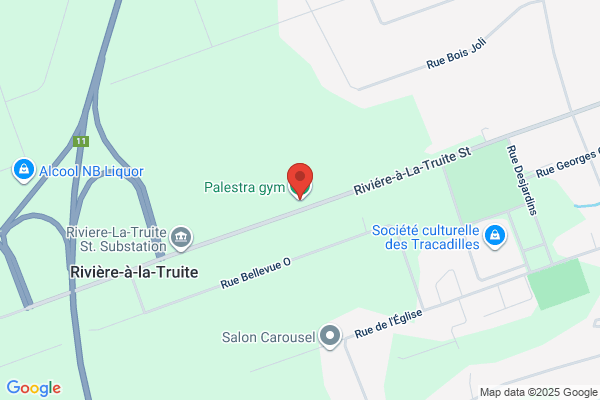 Palaestra Fitness Centre