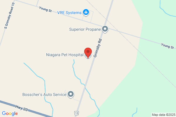 Niagara Pet Hospital