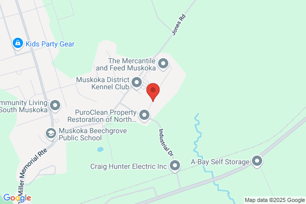 Muskoka Pro Auto Service