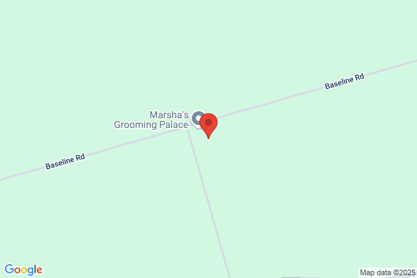 Grooming Palace