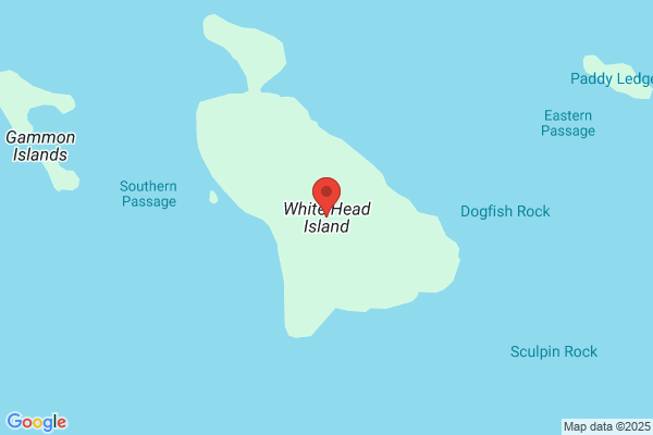 White Head Consultants Ltd