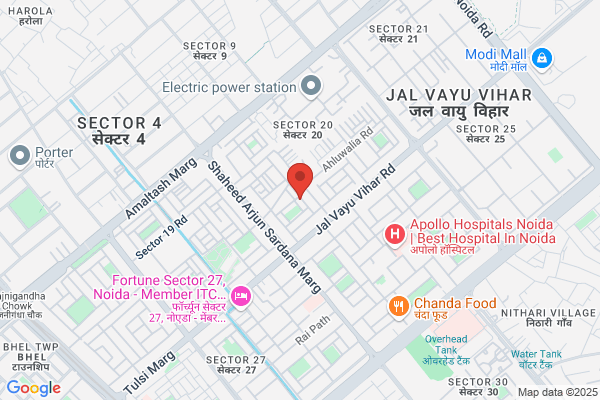 Indian Astrologer Seetharam