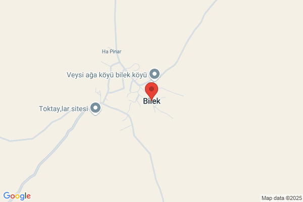 Bilek Ian B