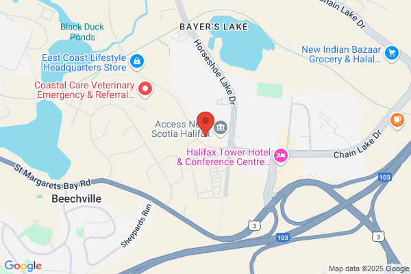 Avondale Construction Limited