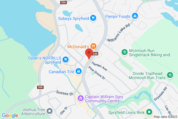 Asl-Signed English Professional Interpreter