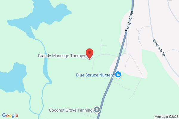 Grandy Theresa Registered Massage Therapist
