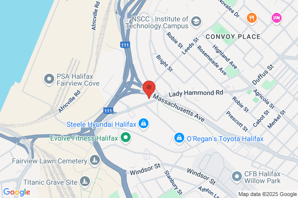 Lady Hammond Animal Hospital