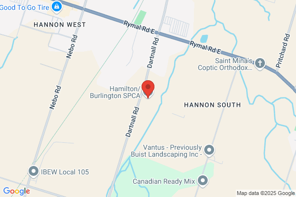 Hamilton/Burlington Spca