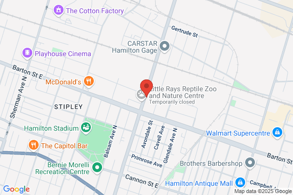 Hamilton Armature Works