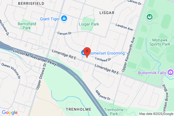 Eastmount Family Health Clinic, Rossati Domenic Dr