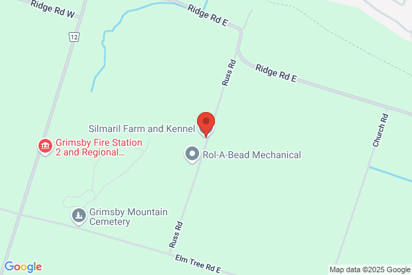 Silmaril Kennels