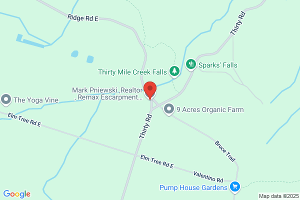 Mark Pniewski - RE/MaX Escarpment Realty