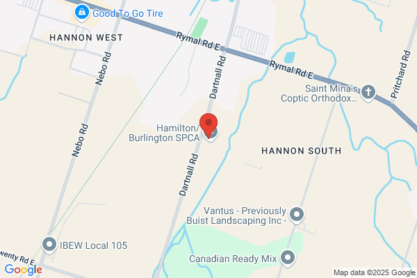 Hamilton (City of), Flamborough Animal Control