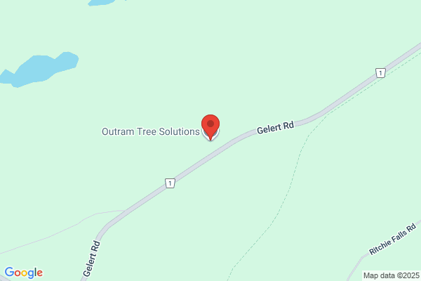 Outram Tree Solutions