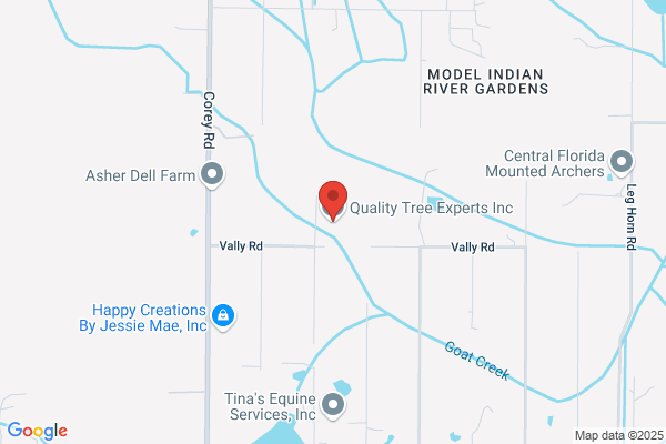 Quality tree experts