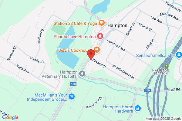 Hampton Auto Supplies Ltd
