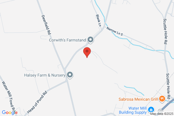 Custom Equine Services