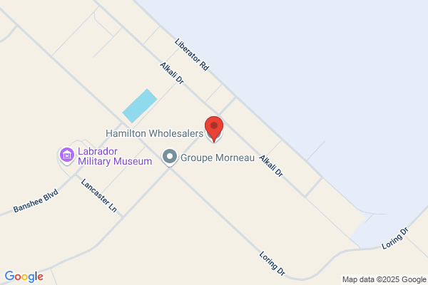 Hamilton Stores Ltd