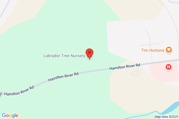 Forestry, Forest Unit Offices, Tree Nursery