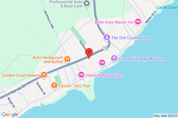 Avalon Health Care Institutions Board, Social Work Department Social Worker