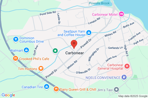 NAPA Auto Parts - NAPA Carbonear
