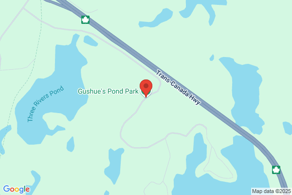 Gushue's Pond Park